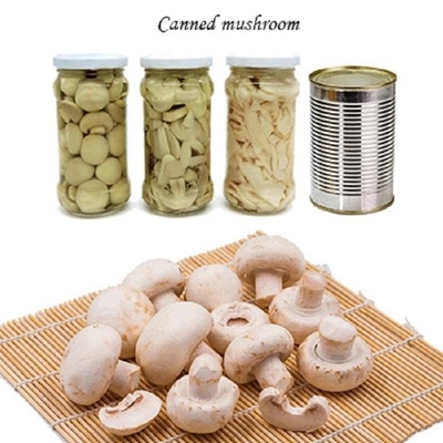 Champignon मशरूम डिब्बाबंद फल सब्जियां Champing मशरूम स्लाइस