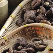 स्वस्थ सूखी शीटकेक मशरूम 1 किलो चिकनी सतह 2 साल शेल्फ लाइफ