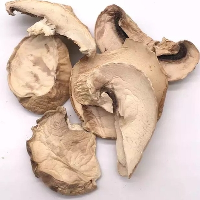 10x10 मिमी ब्राउन जापानी सूखी शीटकेक मशरूम खेती बैग थोक